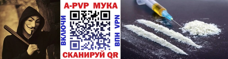 omg как зайти Шуя Альфа ПВП Соль