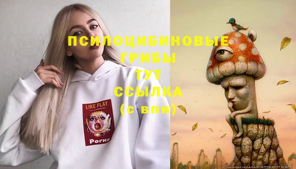 первитин Краснослободск